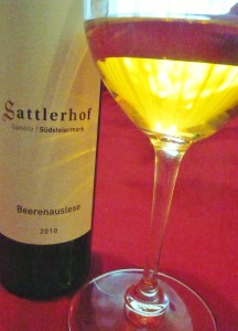 Sattlerhof Ba 2010 strahlend