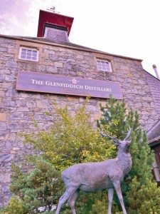 glenfiddich-whisky-distilelry-960x1280