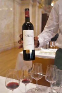 SALON Österreich Wein 2020 Mariell hoch